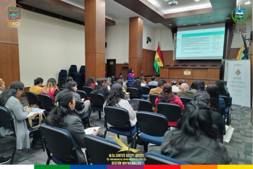 SEDEGES PARTICIPA EN REUNIÓN SOBRE EL EPU, CUARTO INFORME DEL ESTADO PLURINACIONAL DE BOLIVIA 2025